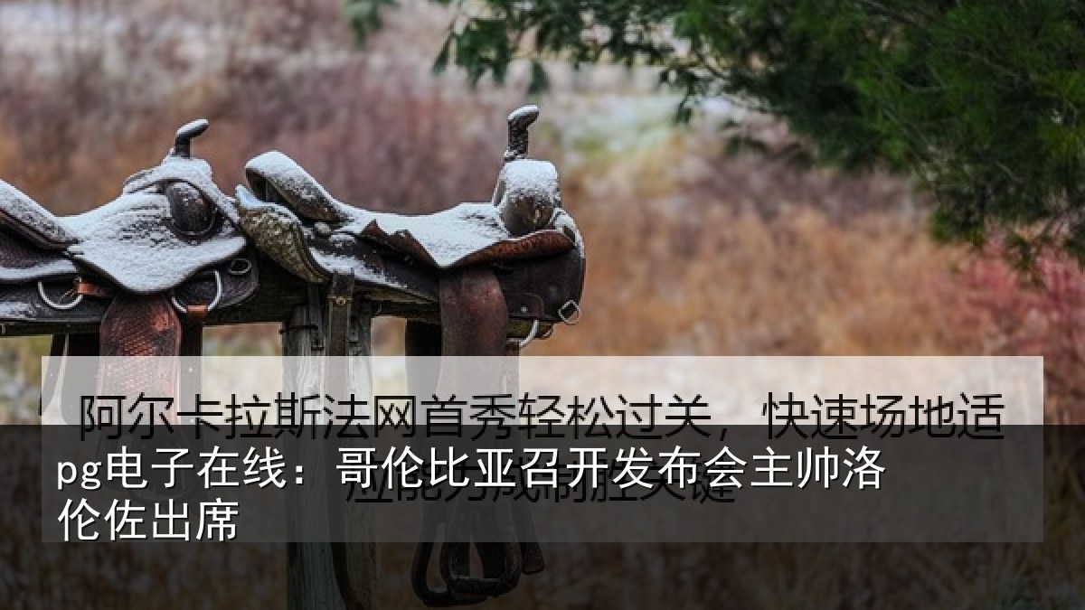 pg电子在线:哥伦比亚召开发布会主帅洛伦佐出席