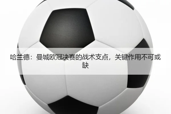 ha-lan-de-man-cheng-ou-guan-jue-sai-de-zhan-shu-zhi-dian-guan-jian-zuo-yong-bu-ke-huo-que-3-729.jpg