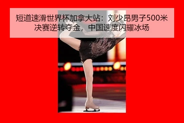 duan-dao-su-hua-shi-jie-bei-jia-na-da-zhan-liu-shao-ang-nan-zi-mi-jue-sai-ni-zhuan-duo-jin-zhong-guo-su-du-shan-yao-2-445.jpg