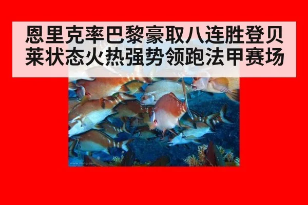 恩里克率巴黎豪取八连胜登贝莱状态火热强势领跑法甲赛场