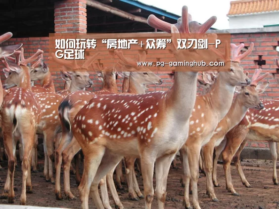 如何玩转“房地产+众筹”双刃剑-PG足球(图1) PG地址