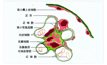 如何玩转“房地产+众筹”双刃剑-PG足球(图3) PG电竞