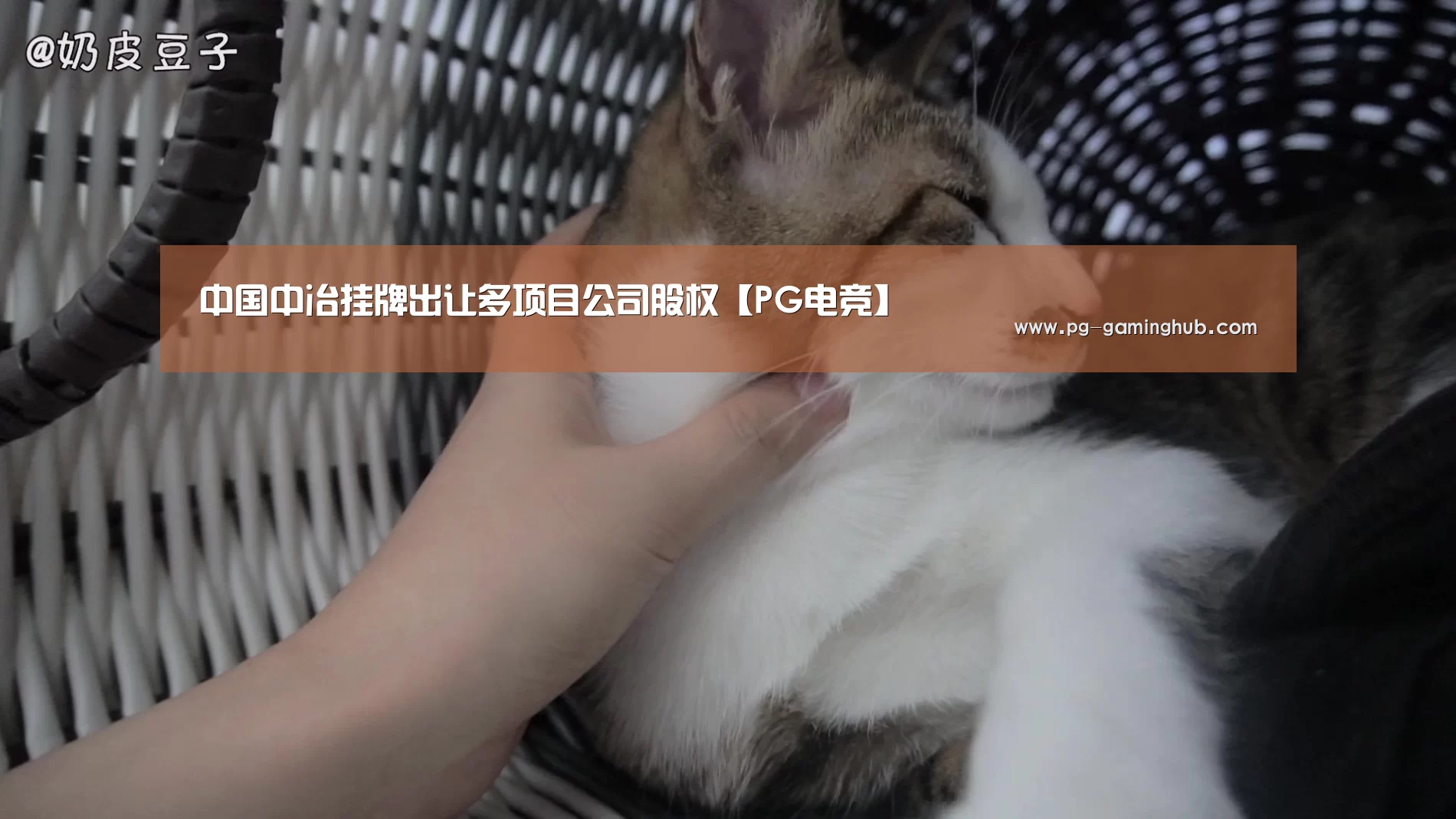中国中冶挂牌出让多项目公司股权【PG电竞】(图2) PG地址
