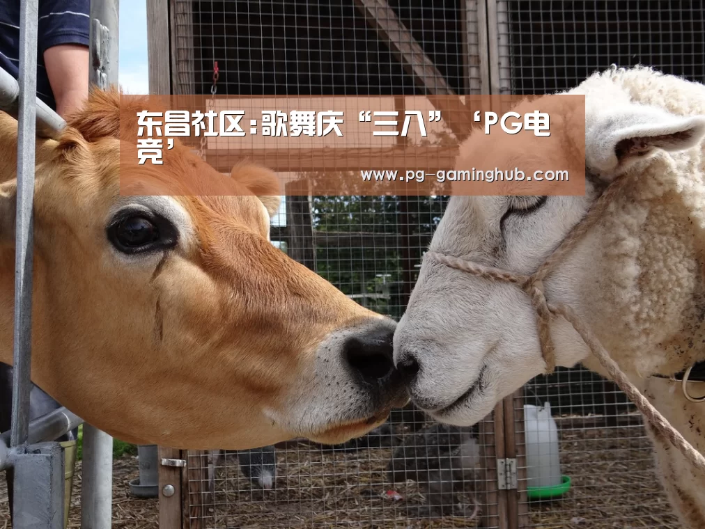 东昌社区:歌舞庆“三八”‘PG电竞’